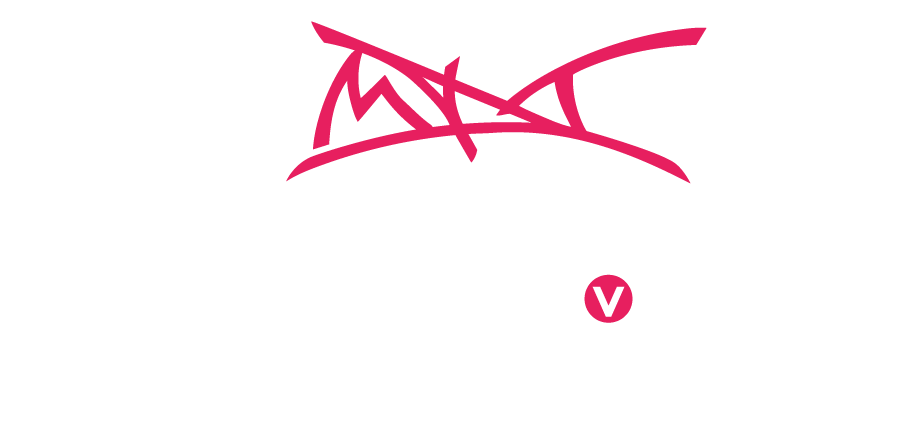 MDT Vision